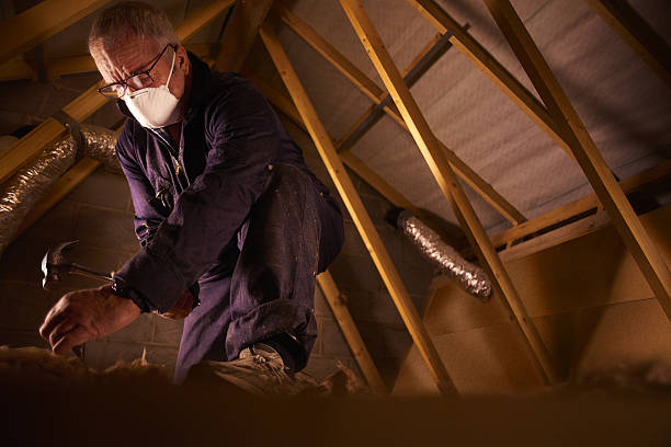 Best Cellulose Insulation in Lincolnwood, IL